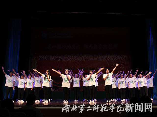 10.文学院2015级汉语言2文学2班活力团支部展示.jpg