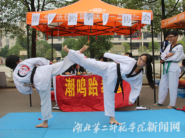 2.潮鸣跆拳道表演.jpg
