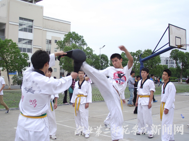 5.跆拳道表演.jpg