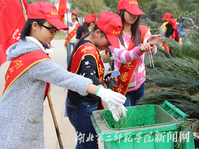 5.落叶归桶.jpg