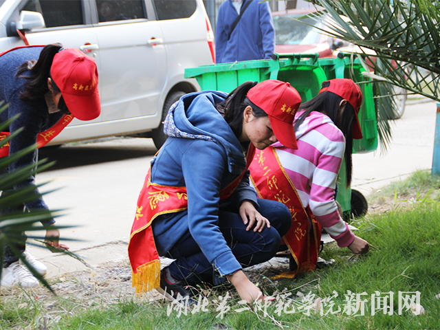 2.让草地更绿.jpg